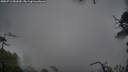 ./images/calvert/fitz-hugh-hecate/20250711/fitz-hugh-hecate20250711_081010M.jpg