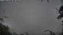 ./images/calvert/fitz-hugh-hecate/20250711/fitz-hugh-hecate20250711_081510M.jpg
