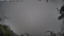 ./images/calvert/fitz-hugh-hecate/20250711/fitz-hugh-hecate20250711_084010M.jpg