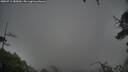 ./images/calvert/fitz-hugh-hecate/20250711/fitz-hugh-hecate20250711_085009M.jpg
