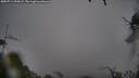./images/calvert/fitz-hugh-hecate/20250711/fitz-hugh-hecate20250711_090009M.jpg