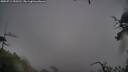 ./images/calvert/fitz-hugh-hecate/20250711/fitz-hugh-hecate20250711_090511M.jpg