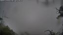 ./images/calvert/fitz-hugh-hecate/20250711/fitz-hugh-hecate20250711_091510M.jpg