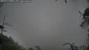 ./images/calvert/fitz-hugh-hecate/20250711/fitz-hugh-hecate20250711_093010M.jpg