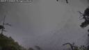 ./images/calvert/fitz-hugh-hecate/20250711/fitz-hugh-hecate20250711_094009M.jpg