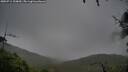 ./images/calvert/fitz-hugh-hecate/20250711/fitz-hugh-hecate20250711_100010M.jpg