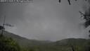 ./images/calvert/fitz-hugh-hecate/20250711/fitz-hugh-hecate20250711_100508M.jpg