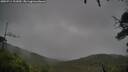./images/calvert/fitz-hugh-hecate/20250711/fitz-hugh-hecate20250711_101010M.jpg
