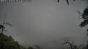 ./images/calvert/fitz-hugh-hecate/20250711/fitz-hugh-hecate20250711_101510M.jpg