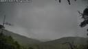 ./images/calvert/fitz-hugh-hecate/20250711/fitz-hugh-hecate20250711_102509M.jpg