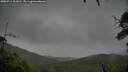 ./images/calvert/fitz-hugh-hecate/20250711/fitz-hugh-hecate20250711_103011M.jpg