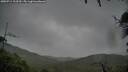 ./images/calvert/fitz-hugh-hecate/20250711/fitz-hugh-hecate20250711_103510M.jpg