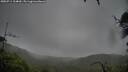 ./images/calvert/fitz-hugh-hecate/20250711/fitz-hugh-hecate20250711_104010M.jpg