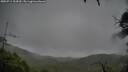 ./images/calvert/fitz-hugh-hecate/20250711/fitz-hugh-hecate20250711_104510M.jpg