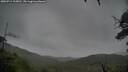 ./images/calvert/fitz-hugh-hecate/20250711/fitz-hugh-hecate20250711_105010M.jpg