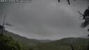./images/calvert/fitz-hugh-hecate/20250711/fitz-hugh-hecate20250711_105509M.jpg