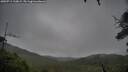 ./images/calvert/fitz-hugh-hecate/20250711/fitz-hugh-hecate20250711_110009M.jpg