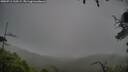 ./images/calvert/fitz-hugh-hecate/20250711/fitz-hugh-hecate20250711_110508M.jpg