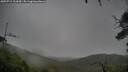 ./images/calvert/fitz-hugh-hecate/20250711/fitz-hugh-hecate20250711_111010M.jpg