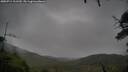 ./images/calvert/fitz-hugh-hecate/20250711/fitz-hugh-hecate20250711_111510M.jpg