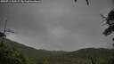 ./images/calvert/fitz-hugh-hecate/20250711/fitz-hugh-hecate20250711_112509M.jpg