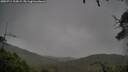 ./images/calvert/fitz-hugh-hecate/20250711/fitz-hugh-hecate20250711_113009M.jpg