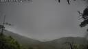 ./images/calvert/fitz-hugh-hecate/20250711/fitz-hugh-hecate20250711_113509M.jpg
