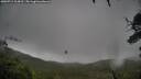 ./images/calvert/fitz-hugh-hecate/20250711/fitz-hugh-hecate20250711_114510M.jpg