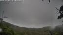 ./images/calvert/fitz-hugh-hecate/20250711/fitz-hugh-hecate20250711_115010M.jpg