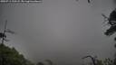 ./images/calvert/fitz-hugh-hecate/20250711/fitz-hugh-hecate20250711_120508M.jpg