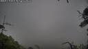 ./images/calvert/fitz-hugh-hecate/20250711/fitz-hugh-hecate20250711_121008M.jpg