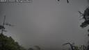 ./images/calvert/fitz-hugh-hecate/20250711/fitz-hugh-hecate20250711_121510M.jpg