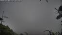 ./images/calvert/fitz-hugh-hecate/20250711/fitz-hugh-hecate20250711_122509M.jpg