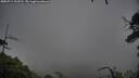 ./images/calvert/fitz-hugh-hecate/20250711/fitz-hugh-hecate20250711_123510M.jpg