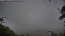 ./images/calvert/fitz-hugh-hecate/20250711/fitz-hugh-hecate20250711_124510M.jpg