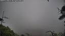./images/calvert/fitz-hugh-hecate/20250711/fitz-hugh-hecate20250711_125509M.jpg