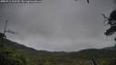 ./images/calvert/fitz-hugh-hecate/20250711/fitz-hugh-hecate20250711_132509M.jpg