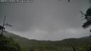 ./images/calvert/fitz-hugh-hecate/20250711/fitz-hugh-hecate20250711_133011M.jpg