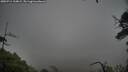 ./images/calvert/fitz-hugh-hecate/20250711/fitz-hugh-hecate20250711_134009M.jpg