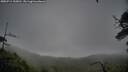 ./images/calvert/fitz-hugh-hecate/20250711/fitz-hugh-hecate20250711_135010M.jpg
