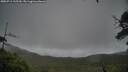 ./images/calvert/fitz-hugh-hecate/20250711/fitz-hugh-hecate20250711_135509M.jpg
