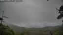 ./images/calvert/fitz-hugh-hecate/20250711/fitz-hugh-hecate20250711_140010M.jpg