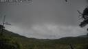 ./images/calvert/fitz-hugh-hecate/20250711/fitz-hugh-hecate20250711_140504M.jpg