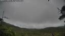 ./images/calvert/fitz-hugh-hecate/20250711/fitz-hugh-hecate20250711_141009M.jpg