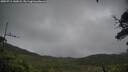 ./images/calvert/fitz-hugh-hecate/20250711/fitz-hugh-hecate20250711_142008M.jpg