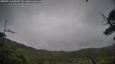 ./images/calvert/fitz-hugh-hecate/20250711/fitz-hugh-hecate20250711_142510M.jpg