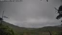 ./images/calvert/fitz-hugh-hecate/20250711/fitz-hugh-hecate20250711_143511M.jpg