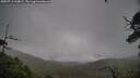 ./images/calvert/fitz-hugh-hecate/20250711/fitz-hugh-hecate20250711_144009M.jpg