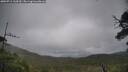 ./images/calvert/fitz-hugh-hecate/20250711/fitz-hugh-hecate20250711_144510M.jpg