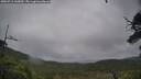 ./images/calvert/fitz-hugh-hecate/20250711/fitz-hugh-hecate20250711_145009M.jpg
